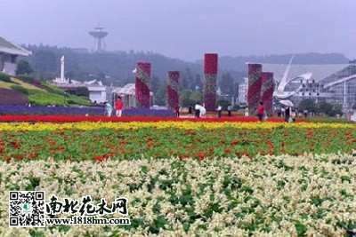 北京:延庆县筹办2019年世界园艺博览会