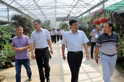 孙其泉带领江都考察团参观沭阳国际花木城