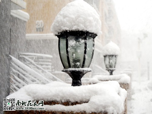 乌鲁木齐4月飞雪2