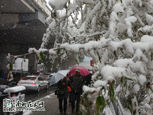 乌鲁木齐4月飞雪5