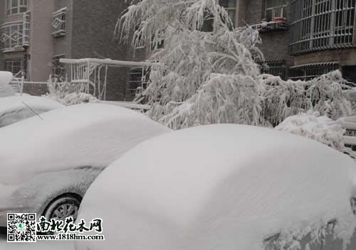 乌鲁木齐4月飞雪7