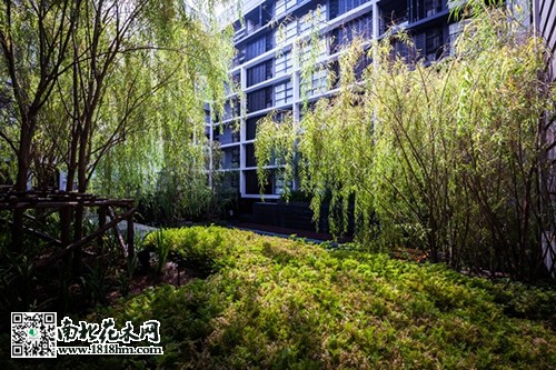 优秀景观工程设计欣赏6