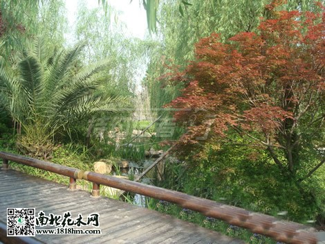 房市低迷促使开发商注重小区绿化建设