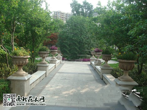 房市低迷促使开发商注重小区绿化建设4