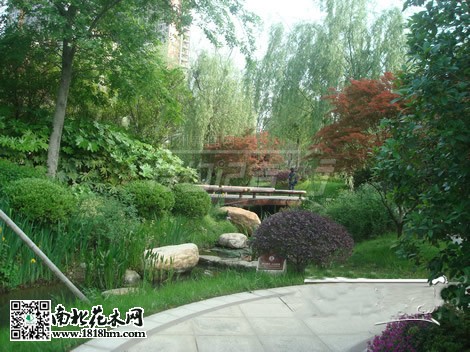 房市低迷促使开发商注重小区绿化建设5