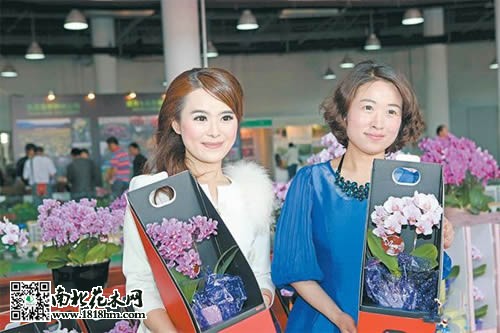 马鞍山首届花木交易博览会