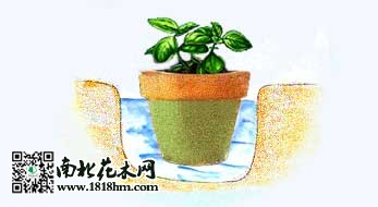 花卉植物简单的保湿方法