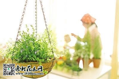 浇花