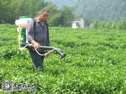 细菌