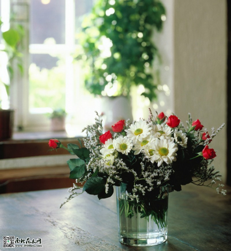室内鲜花_meitu_1