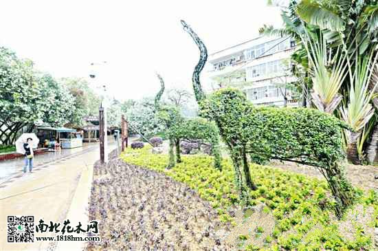 大象景观_meitu_1
