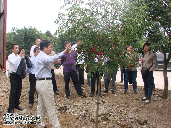 苗圃基地里的培训班