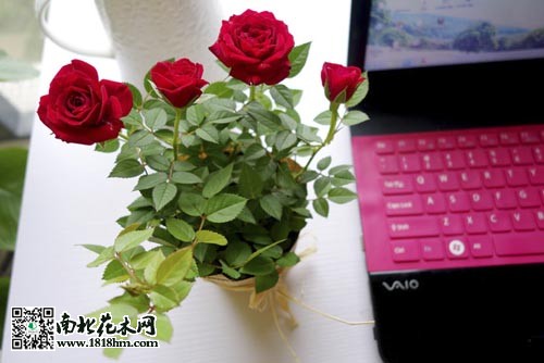 20150227110612_ddWjn.thumb.700_0