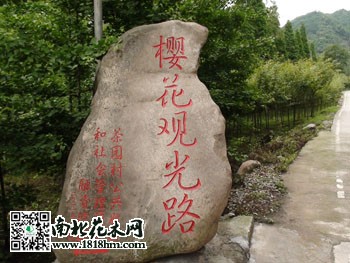 观光路