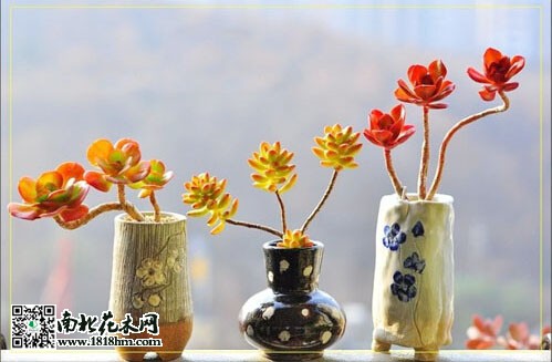 QQ截图20150610093900