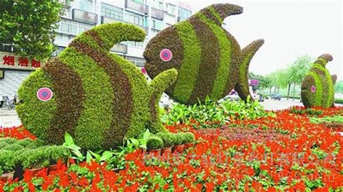 花卉景观