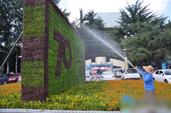 抗战70周年植物雕塑