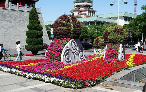 大型花卉景观