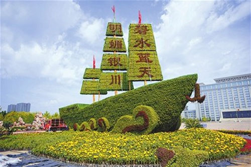 花卉景观