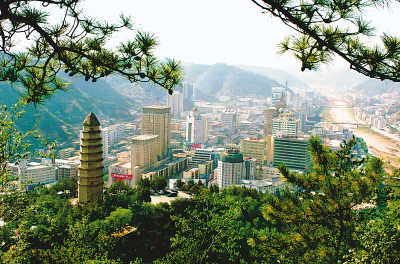 延安花卉市场