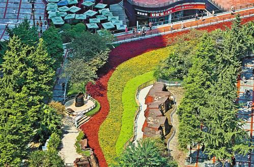 三峡广场花卉“彩带”
