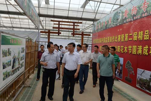 胡建军调研第三届中国沭阳花木节筹备情况