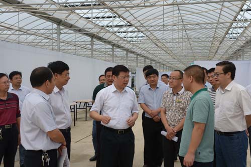 胡建军调研第三届中国沭阳花木节筹备情况