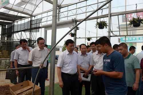 胡建军调研第三届中国沭阳花木节筹备情况