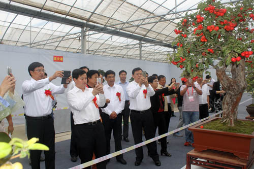 第三届中国•沭阳花木节今日盛大开幕