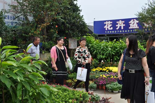 河北：涿州市建设花卉苗木示范区7000亩