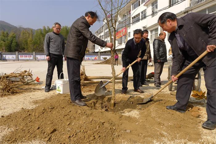 岳西义务植树232万株