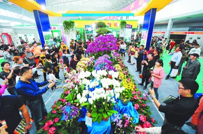 合肥苗交会