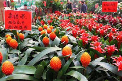 年宵花市场