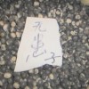 无患子种子供应