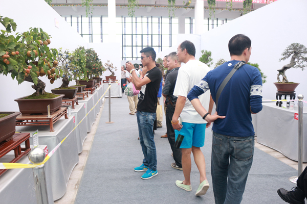 沭阳国际花木城园艺中心内部展品1