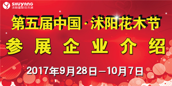 微信作图950<em></em>x476PX