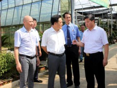 县委书记卞建军陪同市检察院领导考察花木城
