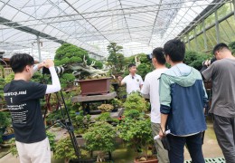 江苏省广播电视总台走进沭阳国际花木城取景