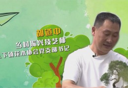 沭阳“新农人”胡道中：“矩阵直播”带“飞”苗木产业