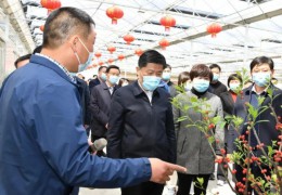 沭阳县委书记彭伟——“支部赋能”打造花木产业集群