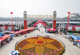 第十届沭阳花木节苗木盆景资材展销会火热开启！