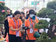 【活动招商】2026沭阳国际花木城秋季花木盆景资材展销会